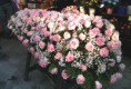 /album/i-nostri-colori-nei-fiori/a261670-259931714144740-1131530453-n-jpg/