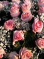 /album/i-nostri-colori-nei-fiori/a579328-259931640811414-1843119798-n-jpg/