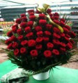 /album/i-nostri-colori-nei-fiori/a579426-259931474144764-588033496-n-jpg/