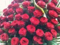 /album/i-nostri-colori-nei-fiori/a935006-259931394144772-236440986-n-jpg/