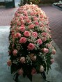 /album/i-nostri-colori-nei-fiori/a944191-259931664144745-417143294-n-jpg/