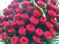 /album/i-nostri-cesti/a935006-259931394144772-236440986-n-jpg1/