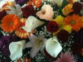 /album/i-nostri-colori/a5353-262210120583566-54663119-n-jpg/