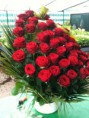 /album/i-nostri-cesti/a971672-259931564144755-1196280121-n-jpg1/